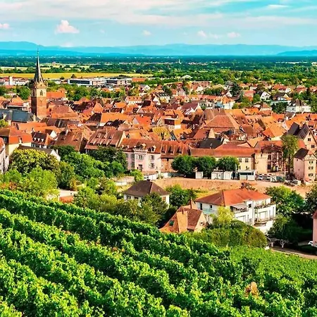 Le Carrousel - Cosy Centre Apartment Obernai