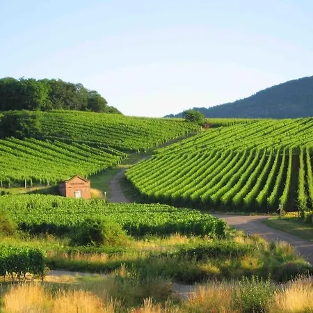 Le Carrousel - Cosy Centre